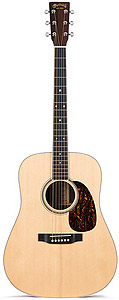 Martin D16RGT