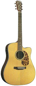 Blueridge BR-160CE with Golden Gate Case [BR160CE]