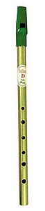 Waltons Irish D Tin Whistle [WM1501]