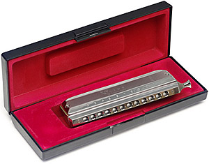 Stagg BJH-C48 12 Hole Chromatic Harmonica [6222]