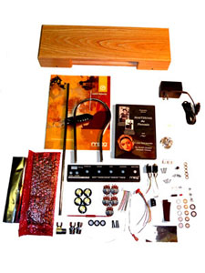 Moog Etherwave Plus Theremin Kit [EW-PKIT-0001]
