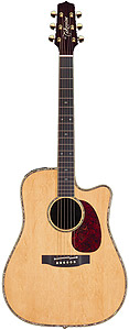 Takamine TNV360SC [TNV360SC]