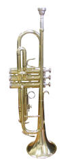 Palatino Bb Trumpet Outfit [WI-PBW-015TP]
