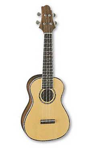 Samick UK70PK Concert Ukulele Pack [UK70PK]