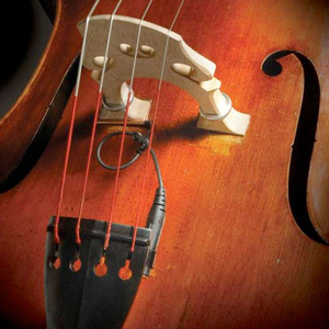 The Realist Orchestral Bass Transducer w/ Wood Element [RLSTSwB1]