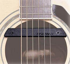Fishman Rare Earth Pro Humbucking Soundhole Pickup [PRO-REP-102]
