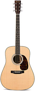 Martin HD35 [HD-35]