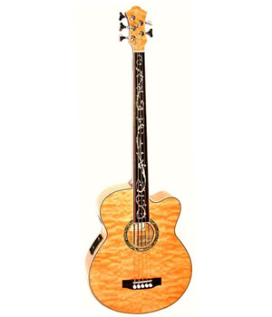 Dragonfly 5 Fretless Acoustic Bass - Natural