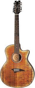 Exotica FM 12-String - Tiger Eye