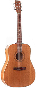 B-18 6-string Cedar