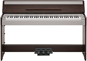 YDP-S30