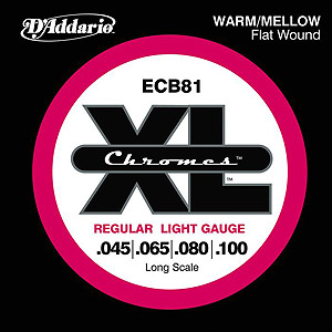 ECB81