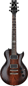ART300 - Brown Caiman