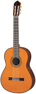 GC41C Cedar