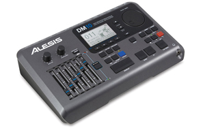DM10 Drum Module