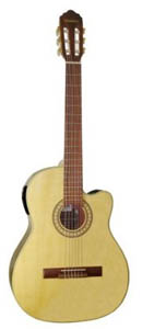 GWNE18 CT EL Acoustic-Electric