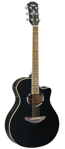 APX500II Black