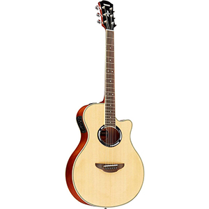 APX500III Natural