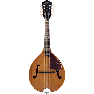 G9310 Mandolin