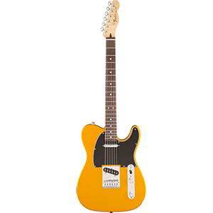 Standard Telecaster Satin Blaze Gold