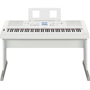 DGX-650 White