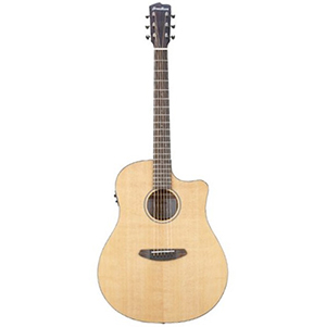 Discovery Dreadnought CE Guitar