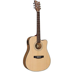 X-Tone D-6E Natural