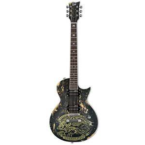 WA-200 Will Adler Warbird Distressed