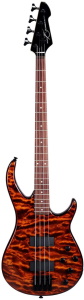 Millennium 4 AC BXP Transparent Tiger Eye 