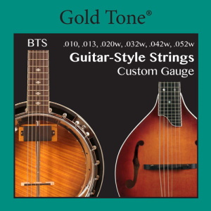 Gold Tone BTS 6 String Banjitar / Mandoguitar Strings