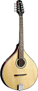 FMO66 Octave Mandolin