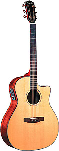 GA45SCE - Natural Finish w/ Case