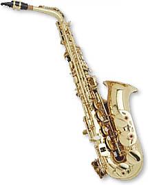 Hazelton E Flat Alto Saxophone with Case